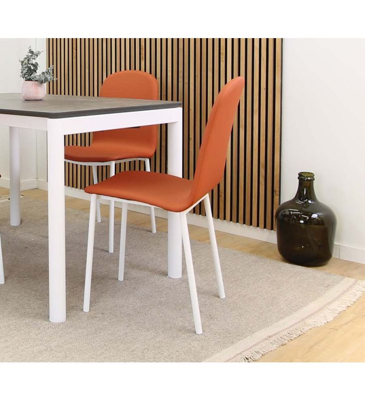 chaises-de-cuisine-blanc-rouge