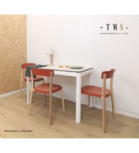 chaise en polycarbonate et bois