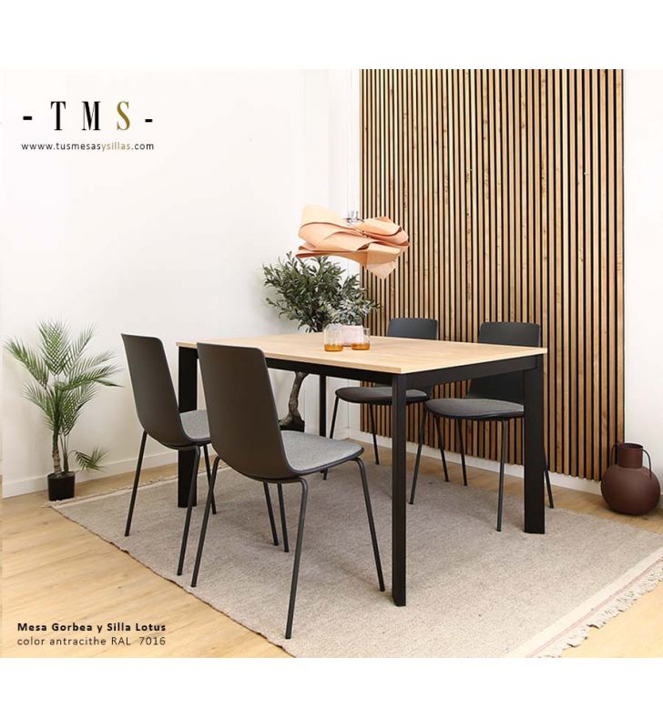chaises de cuisine élégantes et faciles à nettoyer