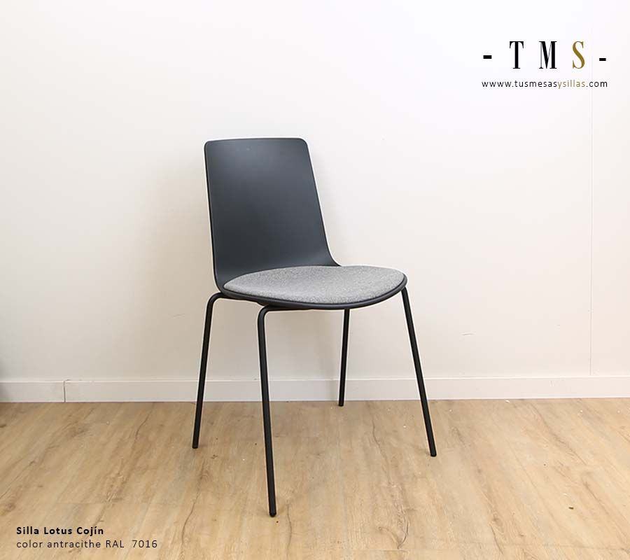 Chaise Lottus avec coussin rembourré