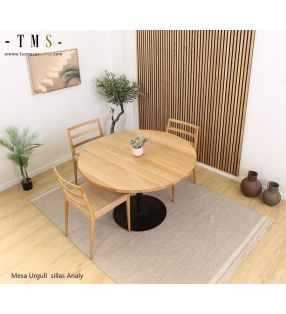 chaises-de-salle-à-manger-modernes-en-bois