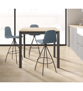 Tables de cuisine étroites et allongées