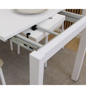 mesas-100x50-extensibles