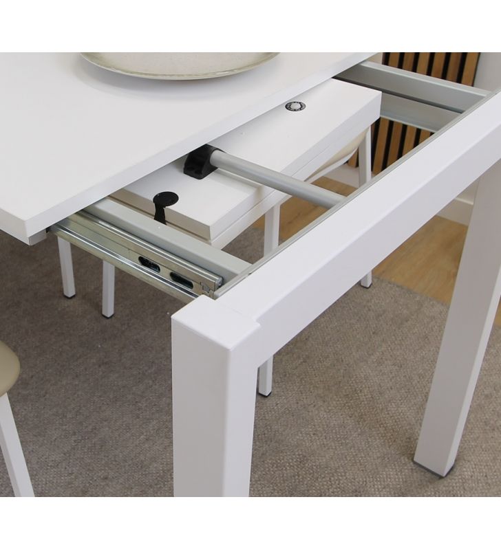 tables extensibles-100x50