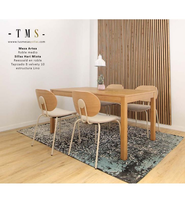 chaises de salle à manger modernes