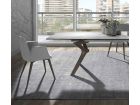 chaises-de-salle-à-manger-Beatle-avec-accoudoirs