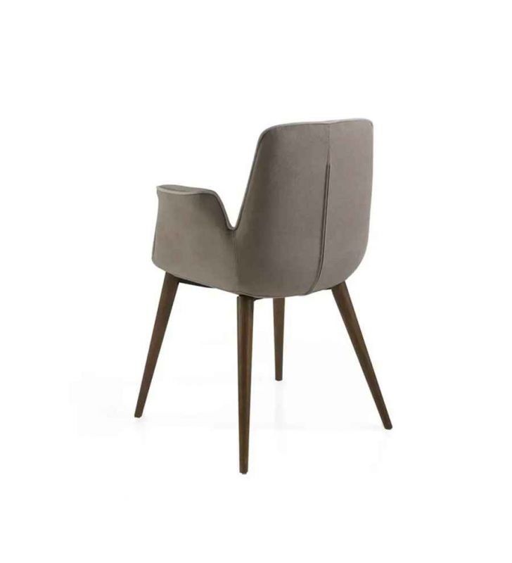 fauteuils-élégants-salon