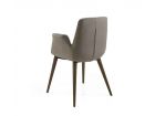 fauteuils-élégants-salon