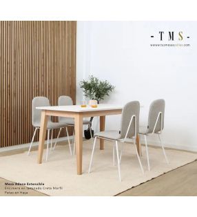 chaises de cuisine-salle à manger