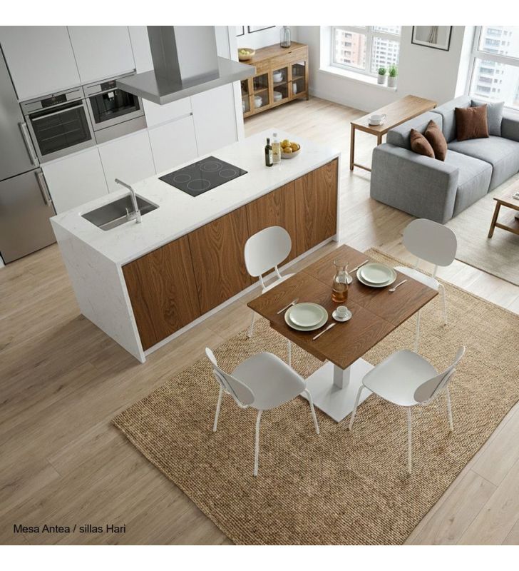 sillas-Hari-ondarreta-precios sillas-Hari-ondarreta-precios