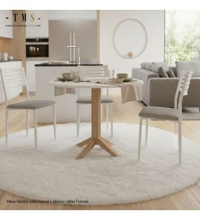 chaises de cuisine/salle à manger grises et blanches