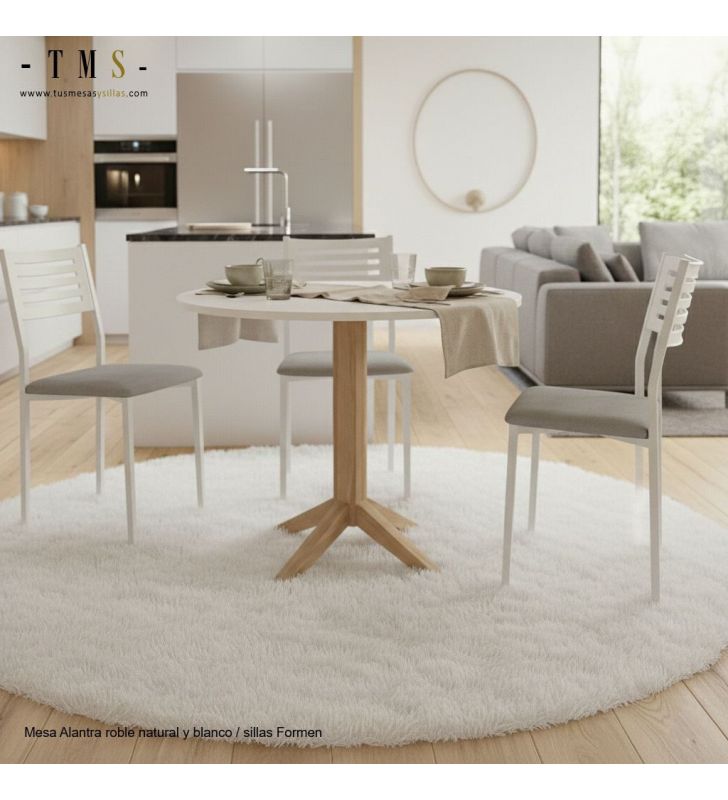 chaises de cuisine/salle à manger grises et blanches chaises de cuisine/salle à manger grises et blanches