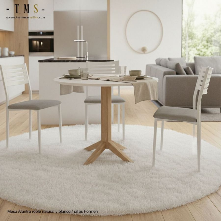 chaises de cuisine blanches et noires chaises de cuisine blanches et noires