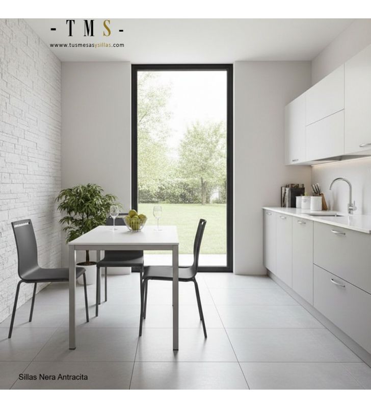 Chaises de cuisine - Couleur anthracite Chaises de cuisine - Couleur anthracite