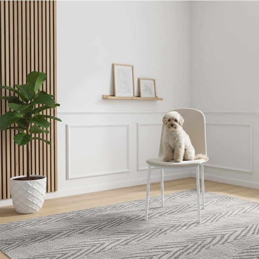 Chaise rembourrée Aire pour maisons avec chiens, chats, rembourrage anti-rayures