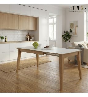 table extensible de style nordique