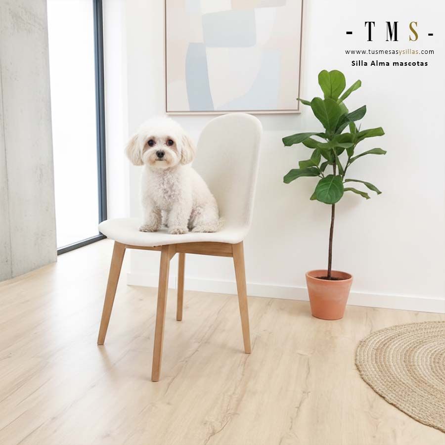 chaise de salle à manger avec revêtement spécial pour animaux de compagnie