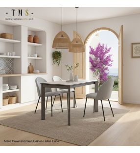 fauteuils confortables - salon - salle à manger