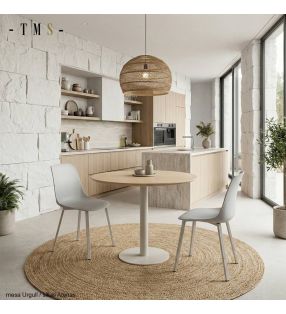 chaises de cuisine confortables et faciles à nettoyer