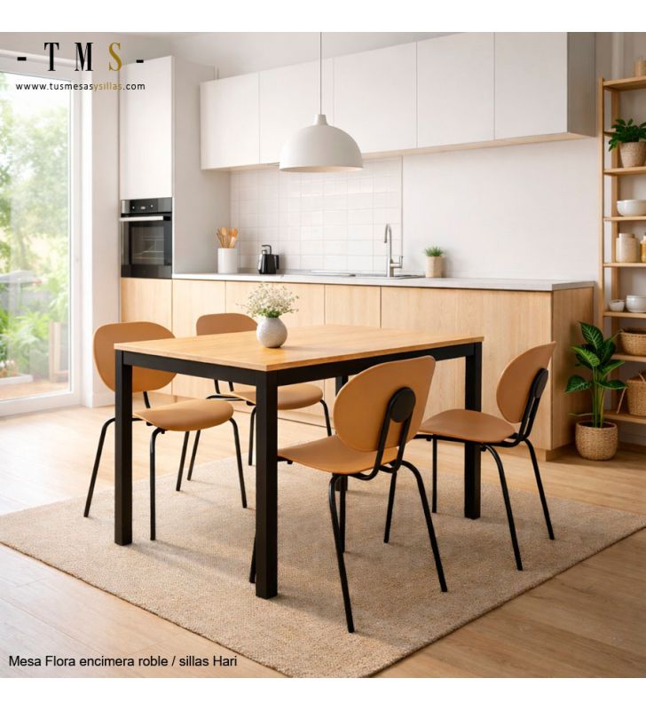 table-chaises-cuisine-aspect-naturel table-chaises-cuisine-aspect-naturel