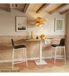 Tables hautes avec 2 tabourets