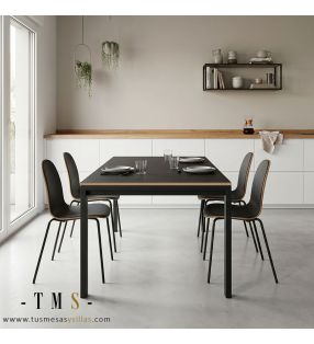 Table Txindoki en fenix extensible