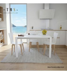 mesa-extensible-blanca-120x80