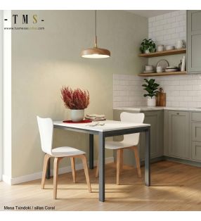 mesa-extensible-120x70