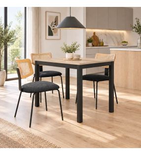 Mesa-110x70-extensible