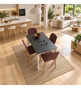 table-120x70-porcelaine-extensible