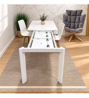 mesa-2-extensiones-independientes