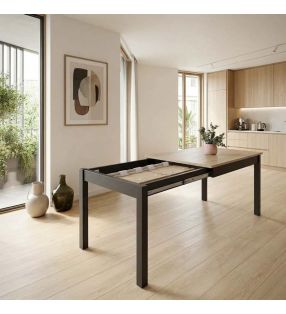table-100x60-extensible