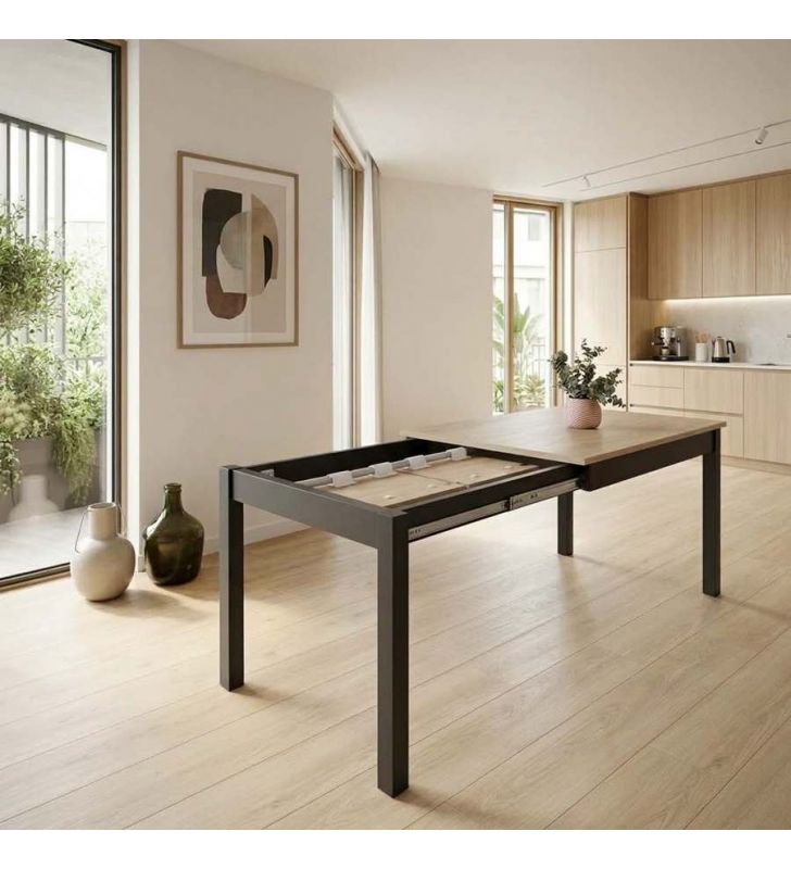 table-100x60-extensible table-100x60-extensible