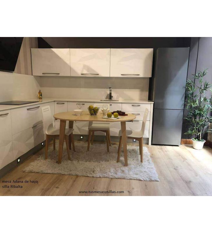table-ronde-1-extension