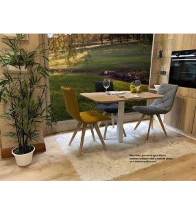 Adan central pied table dans le style nordique