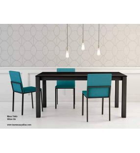 Mesas-metalicas-Cancio-Fijas