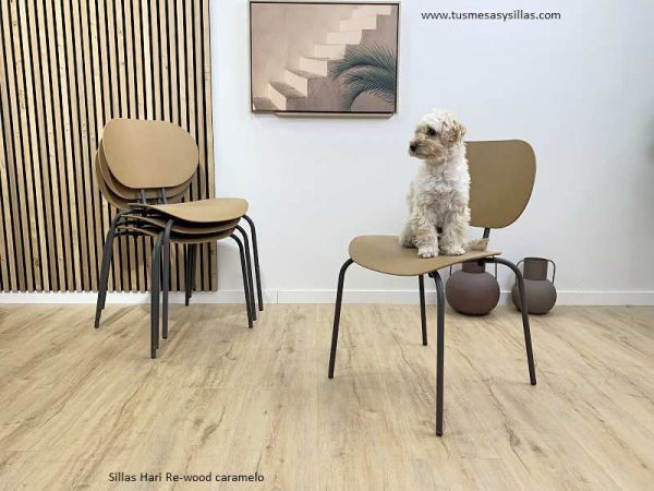 Chaises de salle à manger ou de cuisine adaptées aux maisons avec chiens ou chats