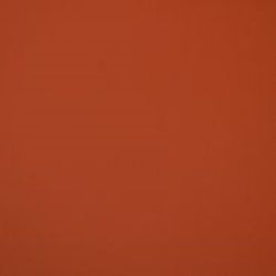 Fenix rosso-namib