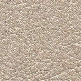 Tapisserie  Valencia Champagne