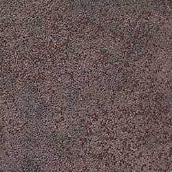 Porcelanico Iron grey