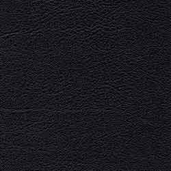 Tapizado Palma Schwartz-Negro
