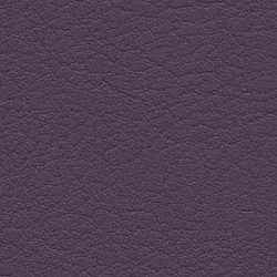 Tapissé V. aubergine