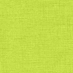 Kiwi du Michigan rembourré