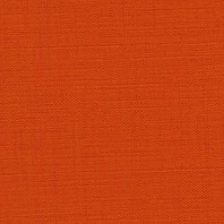 Sellerie mandarine du Michigan