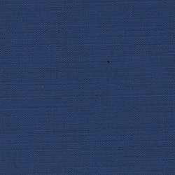 Sellerie bleu Michigan