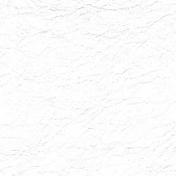 Sellerie Élite blanc