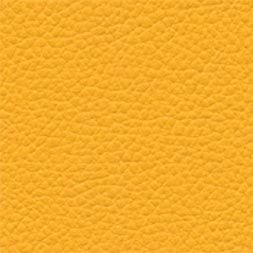 Eco leather Corn