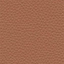 Eco Leather Capuccino