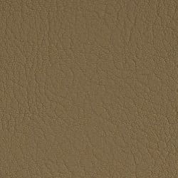 Tapizado Valencia Beige