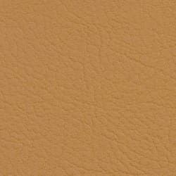 Tapizado Valencia Cashmere